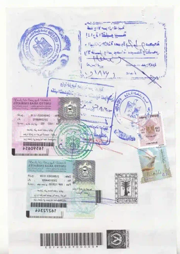 Egypt certificate attestation